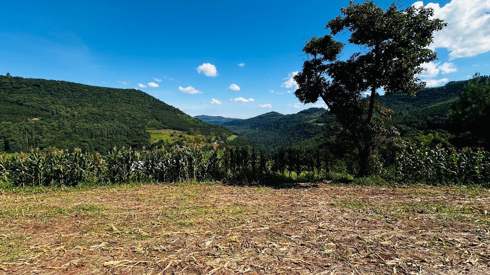 Fazenda à venda, 55000m² - Foto 16