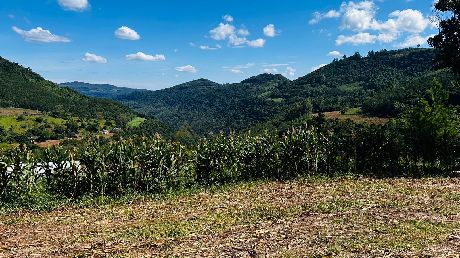 Fazenda à venda, 55000m² - Foto 17