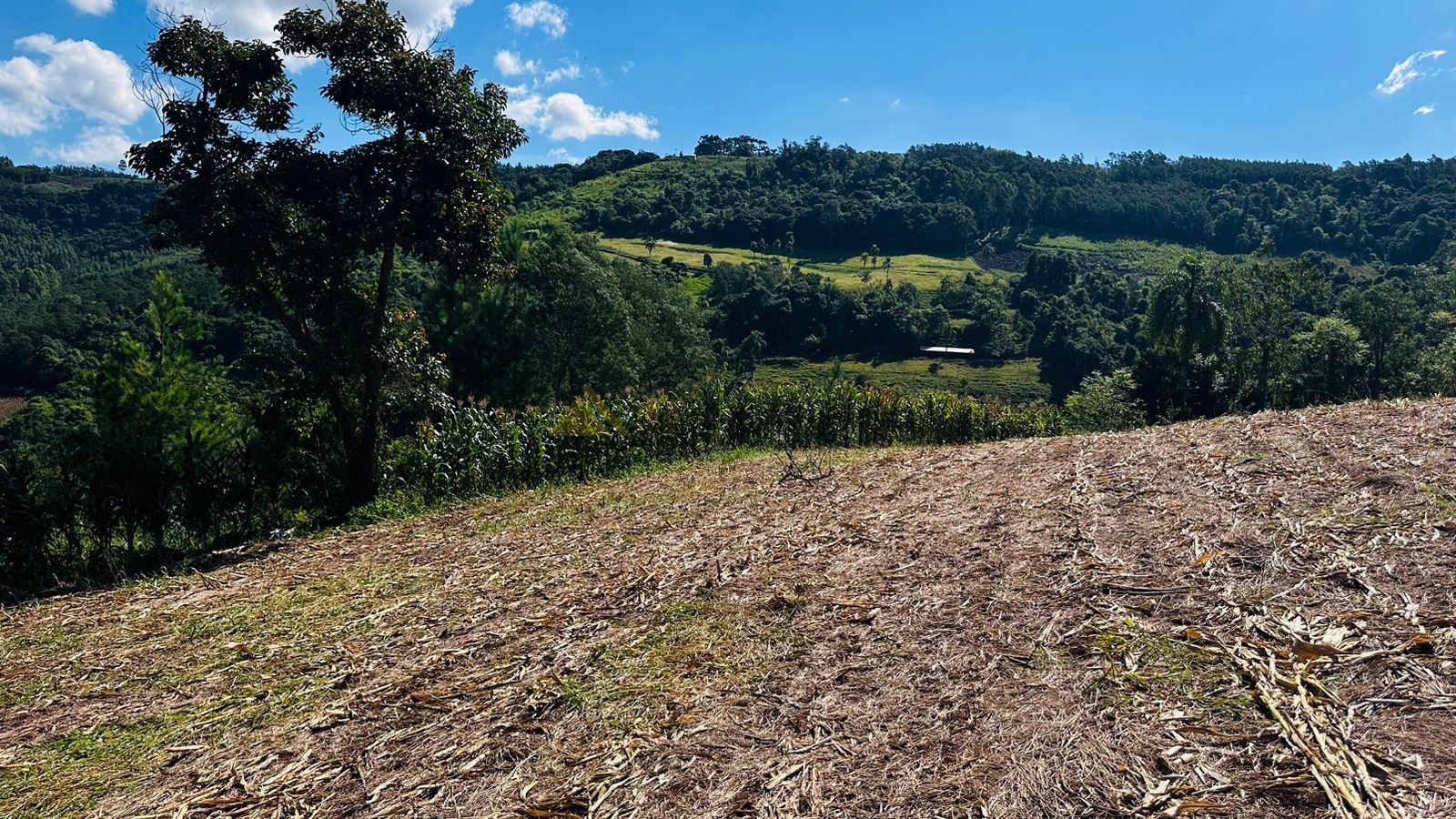 Fazenda à venda, 55000m² - Foto 19