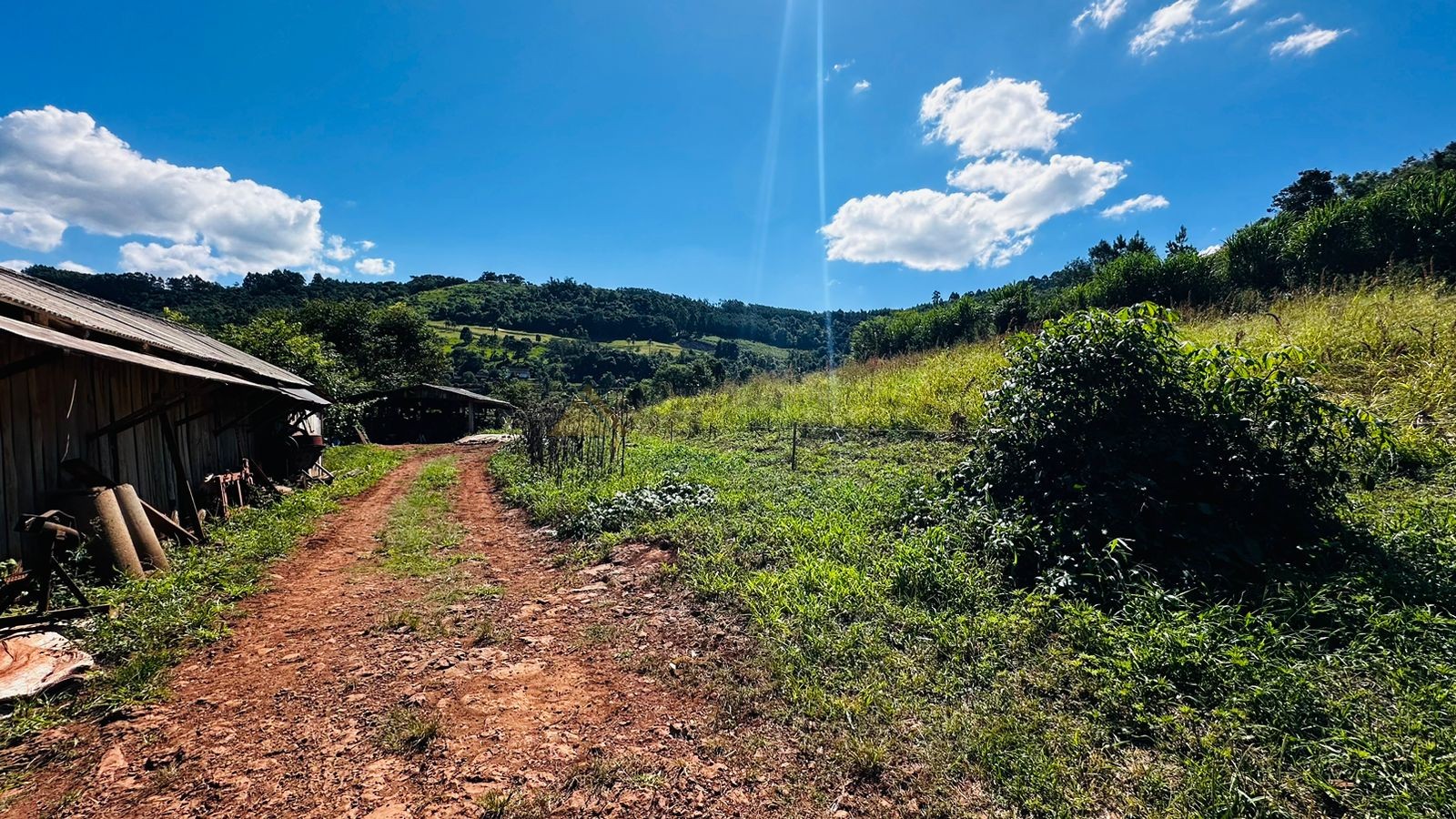 Fazenda à venda, 55000m² - Foto 5