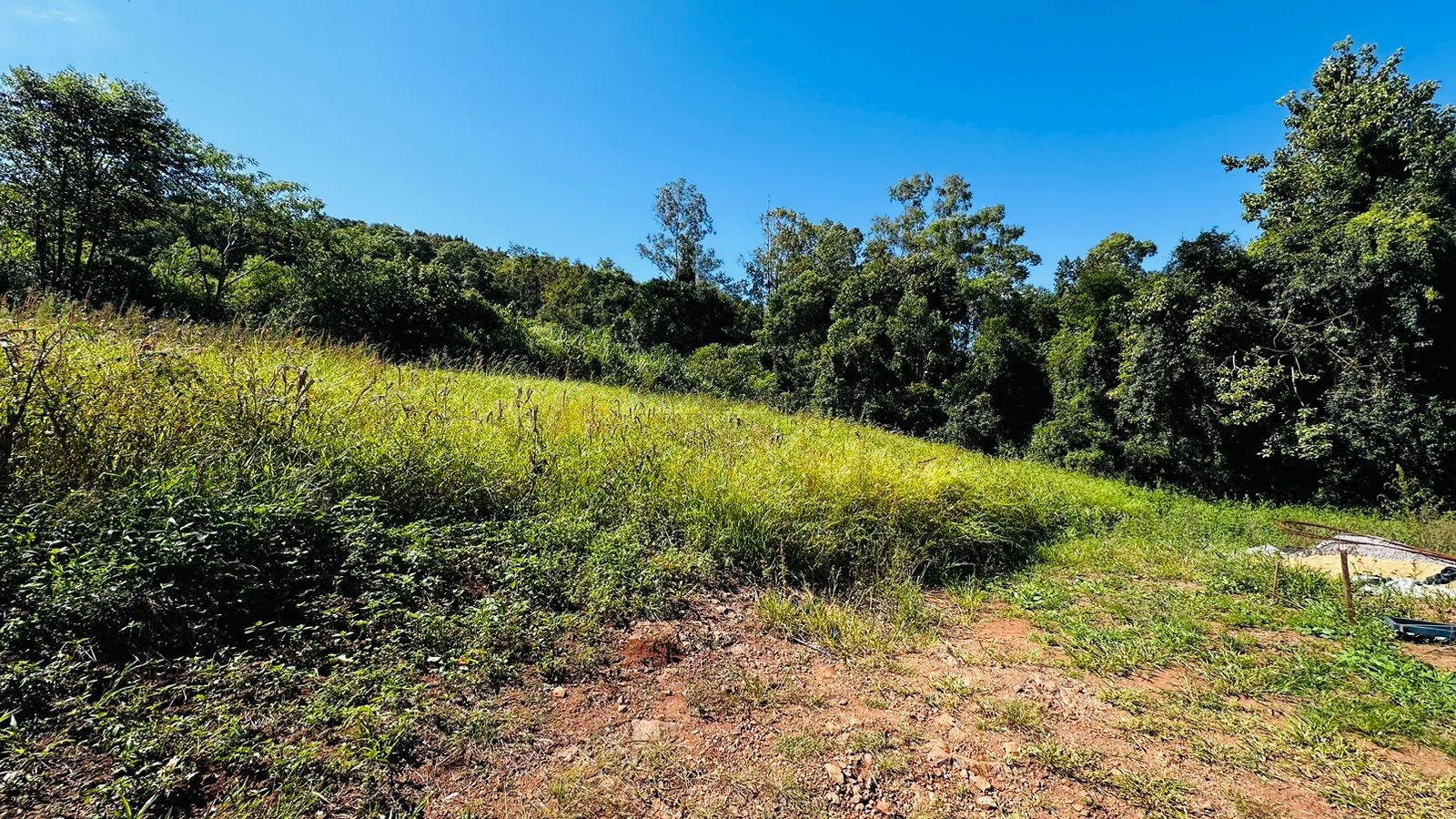 Fazenda à venda, 55000m² - Foto 6