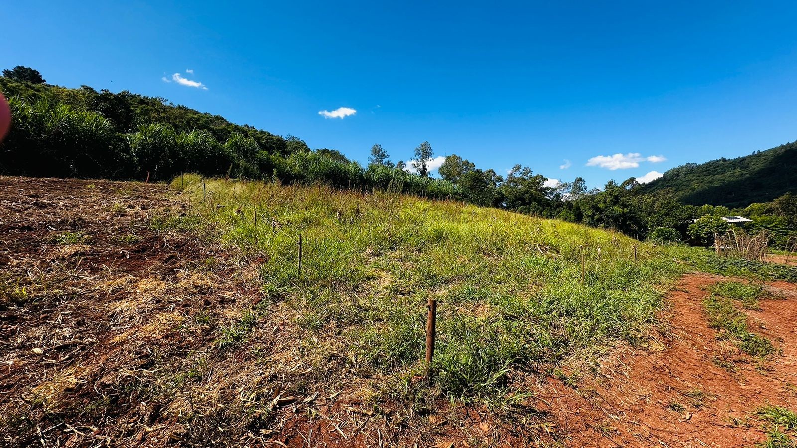 Fazenda à venda, 55000m² - Foto 8