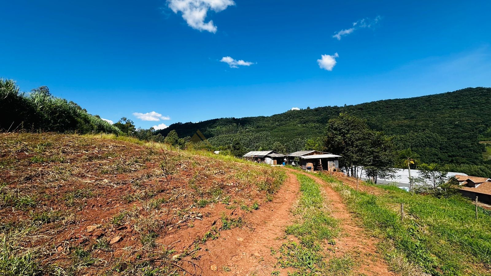 Fazenda à venda, 55000m² - Foto 9