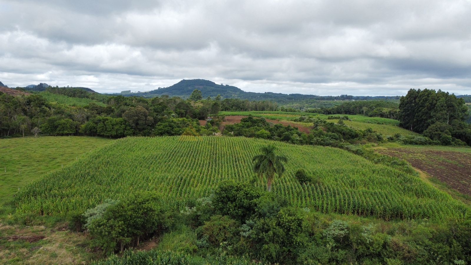 Fazenda à venda, 30000m² - Foto 10