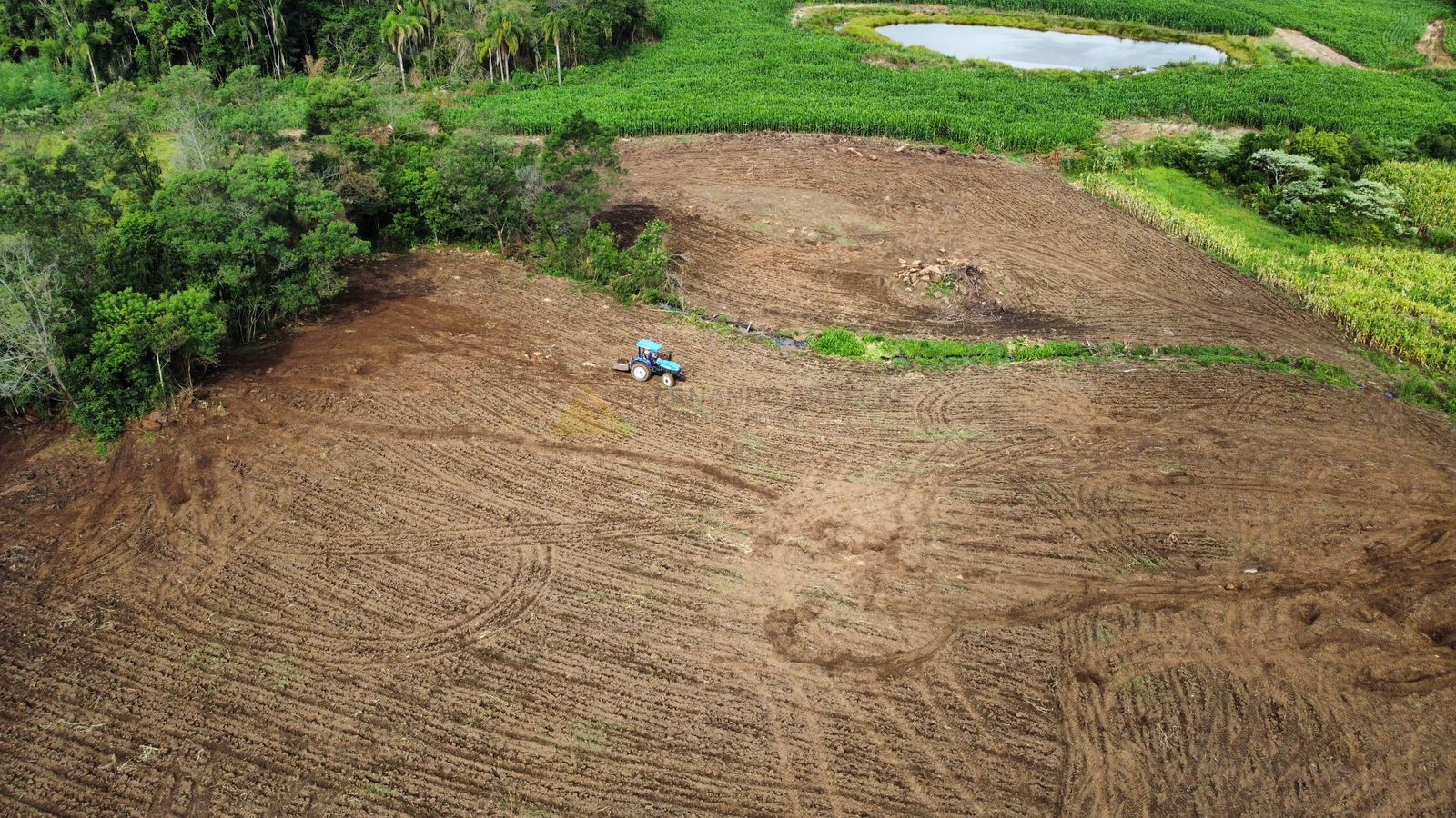 Fazenda à venda, 30000m² - Foto 11