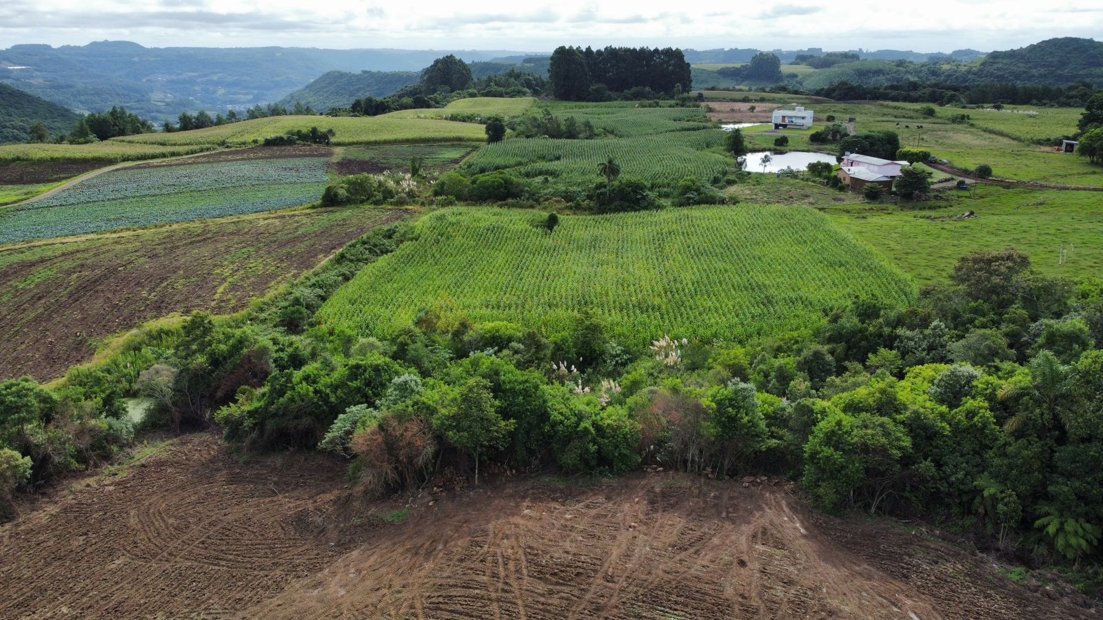 Fazenda à venda, 30000m² - Foto 12