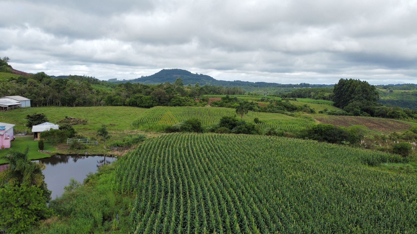 Fazenda à venda, 30000m² - Foto 14