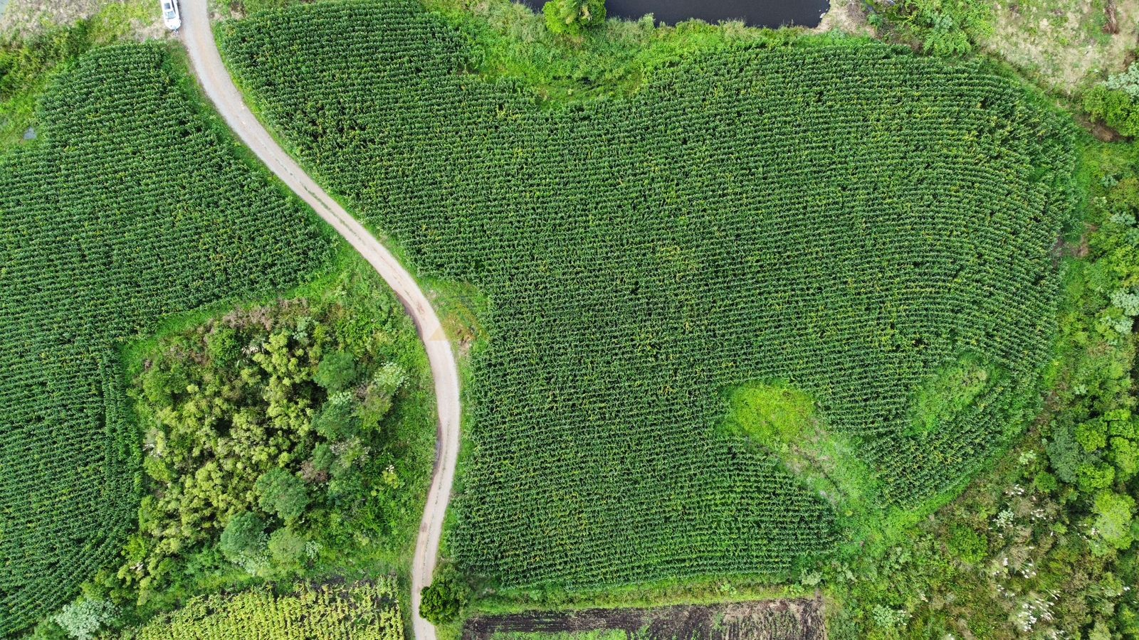 Fazenda à venda, 30000m² - Foto 3