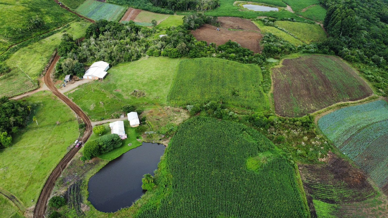 Fazenda à venda, 30000m² - Foto 4