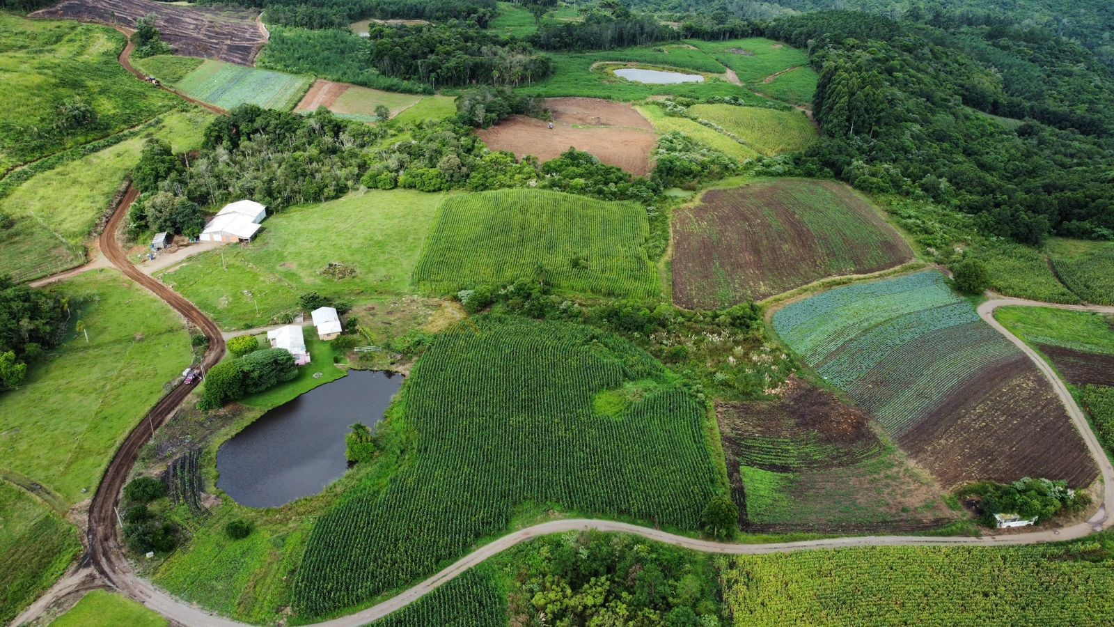 Fazenda à venda, 30000m² - Foto 5