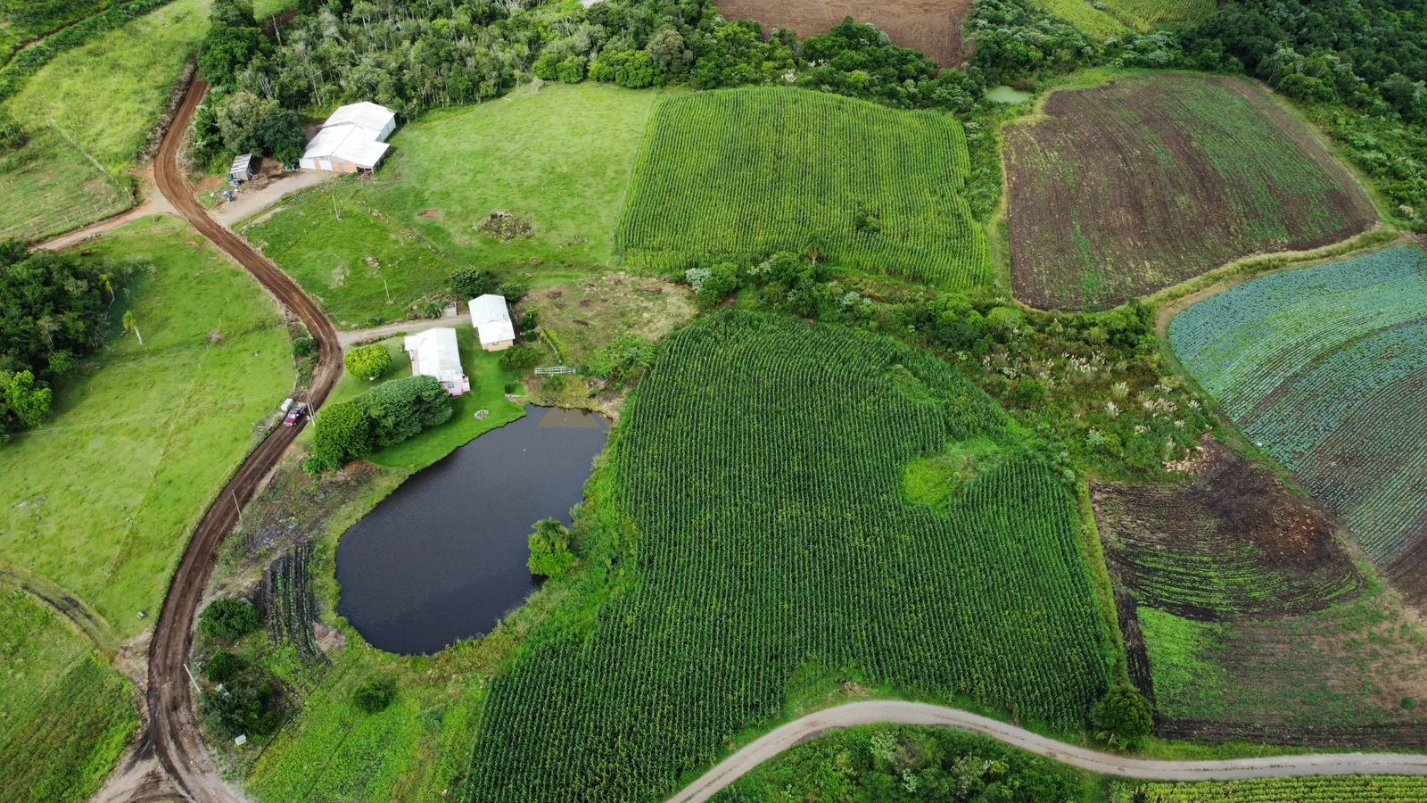 Fazenda à venda, 30000m² - Foto 6