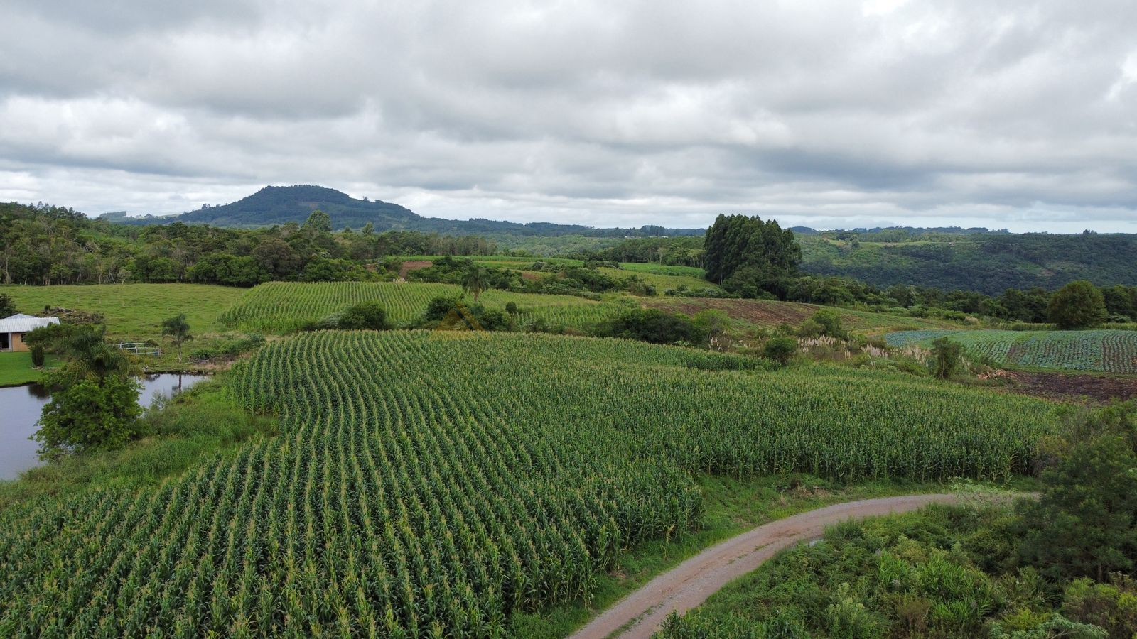 Fazenda à venda, 30000m² - Foto 8